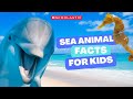 Let S Explore The Oceans Take A Field Trip Under The Sea