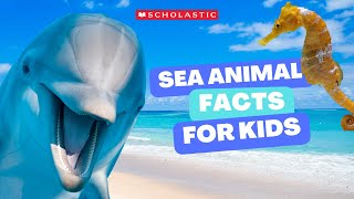 Let's Explore the Oceans | Take a Field Trip Under the Sea gameplay video by saraqmv, 4:09 duration