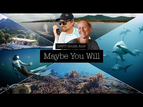Maybe You Will - Diving with SAVU in South Alor
