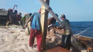 preview picture of video 'Jaring Thailand tanjung pinang'