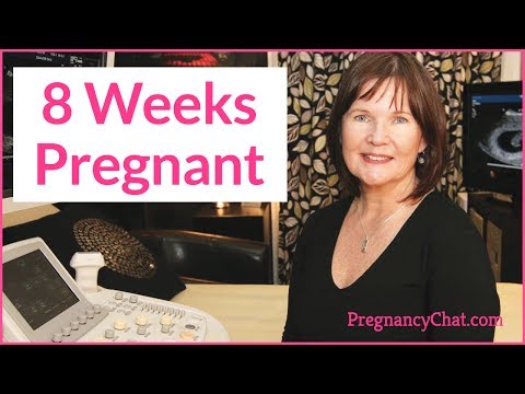 "8 Weeks Pregnant" by PregnancyChat.com @PregChat