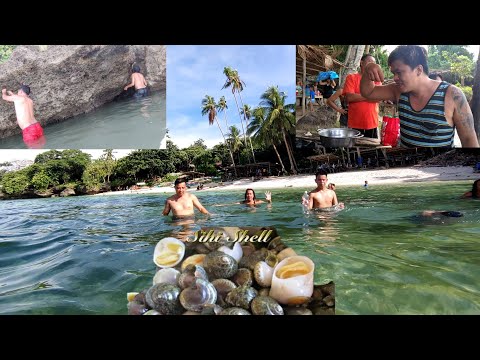 Nanguha kami ng SIHI SHELL ulam namin sa beach.#bassfishing #buhayprobinsya #soweird #shell