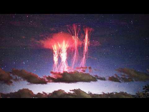The Craziest Nature Videos Ever