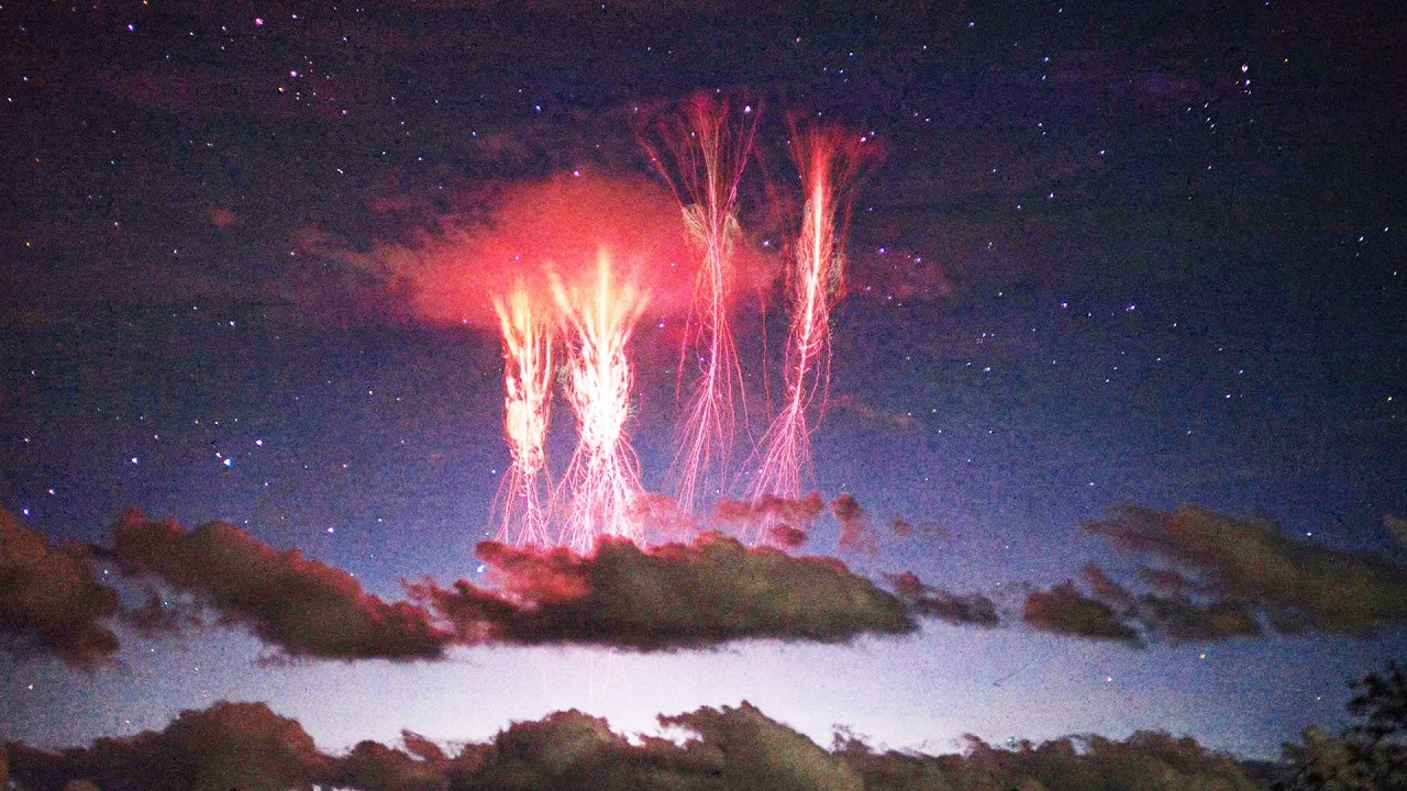 The Craziest Nature Videos Ever