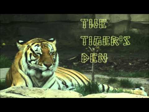 January 29th Trade What You See with Larry Pesavento on TFNN - 2016