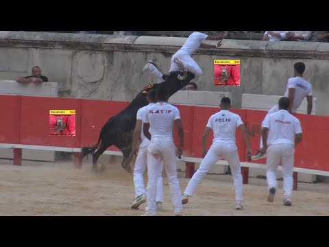 NIMES-Course Camarguaise-Trophée des AS-11/06/2021