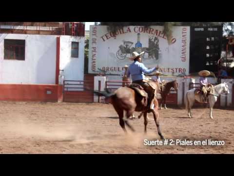 Suerte 2 Charrería UNAM: Piales en el lienzo