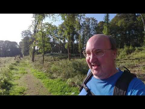 MongoTV_3539 - Danish Vlog - Søndagstur i Skoven 25.August 2019