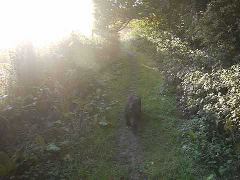 North Downs Way Day 3  Leaving Thurnham shortly after dawn