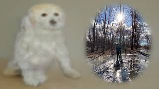 OTTO – “Chlorine”