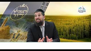 איך מתקבלות התפילות? | דניאל |  פרק ט  # 2 | הרב אליהו עמר (הרב אליהו עמר) - התמונה מוצגת ישירות מתוך אתר האינטרנט יוטיוב. זכויות היוצרים בתמונה שייכות ליוצרה. קישור קרדיט למקור התוכן נמצא בתוך דף הסרטון