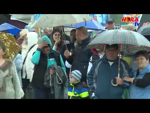 Florica Duma - Inimă cu doi stăpâni