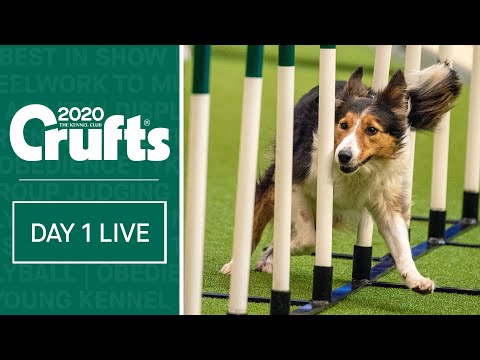 Day 1 Live | Crufts 2020