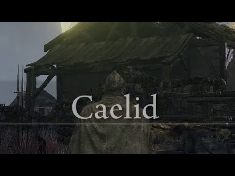 Preparing for Shadow of the Erdtree- Caelid Wilds