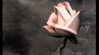 elEgant (T.R) - Pro Tebe *TEXT* elEgant (T.R) - Pro Tebe *TEXT*