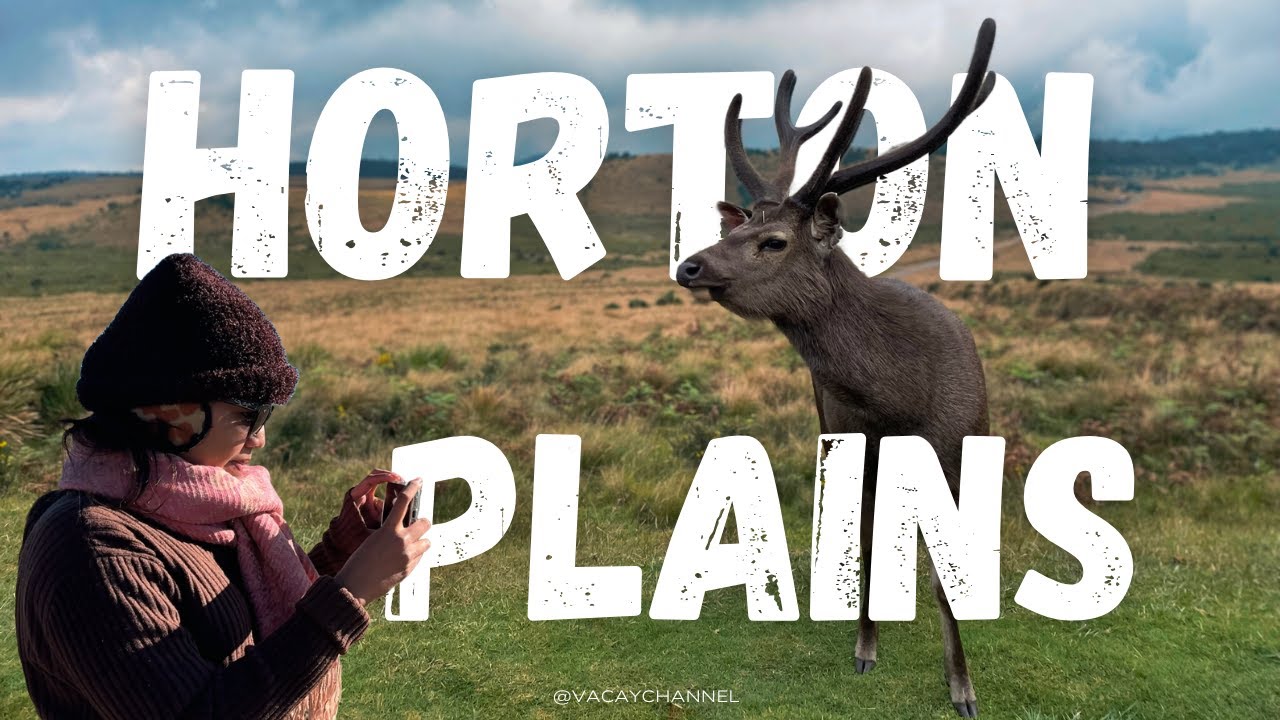 Experience a tour of Horton Plains National Park alongside travelers.