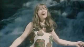 The Olive Tree (The Seekers; Down Under, 1967)