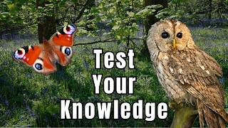 UK Wildlife Quiz - Can you answer these 8 Nature Questions?