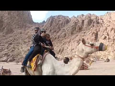 Wadi jinn  camel ride