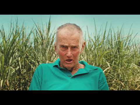 Cane Toads - The Conquest