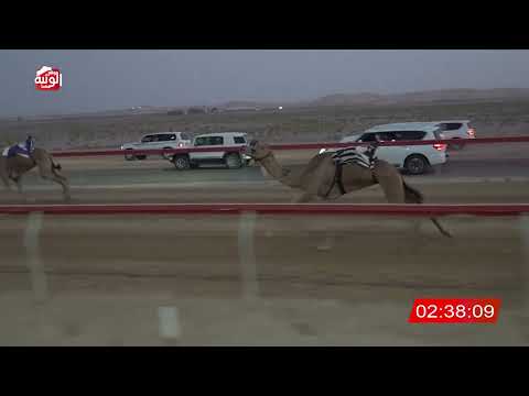  ش 1 (سلطه) لـ حمدان حمد بن مبارك السليطي 6:20 ، مهرجان العين 2026/08/08 ثنايا سويحان
