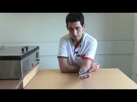 Hand-wrist orthosis + dynamic stabilization versus claw hand