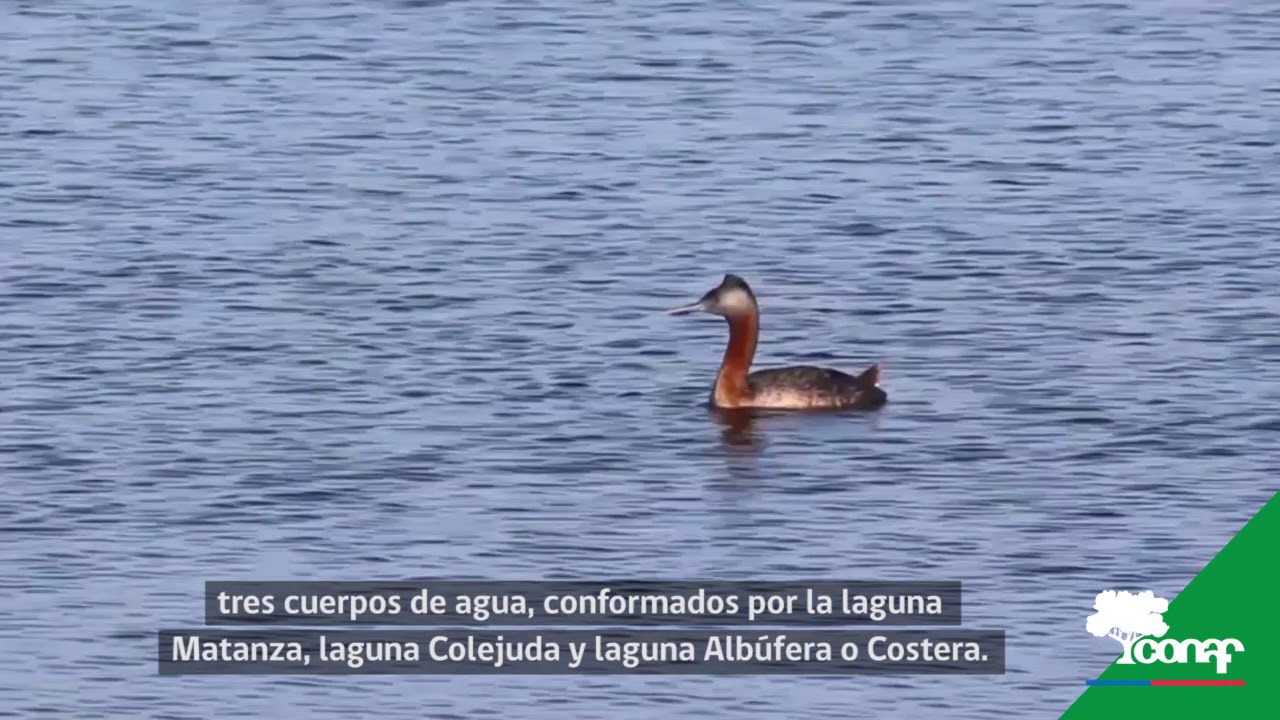 Reserva Nacional El Yali, Región de Valparaíso