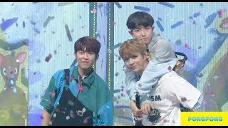 워너원 트리플포지션 (Wanna One Triple Position) - 캥거루 (Kangaroo) / 교차편집 Comeback Stage Mix