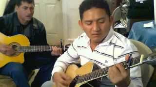 PALOMA PIQUITO DE ORO