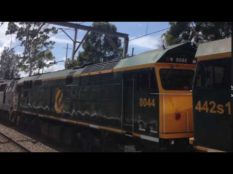 Qube 442S1-8044-MZ1445-MZ1435 lead 4112 south Cockle creek