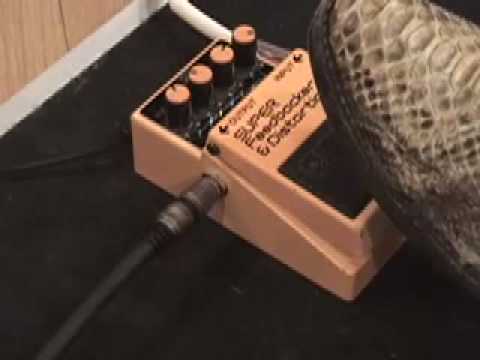 Boss Super Feedbacker and Distortion Pedal Demo DF-2