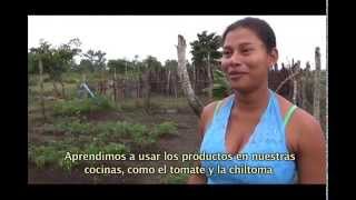 preview picture of video 'Resiliencia y adaptación en comunidades costeras (RACCN, Nicaragua)'
