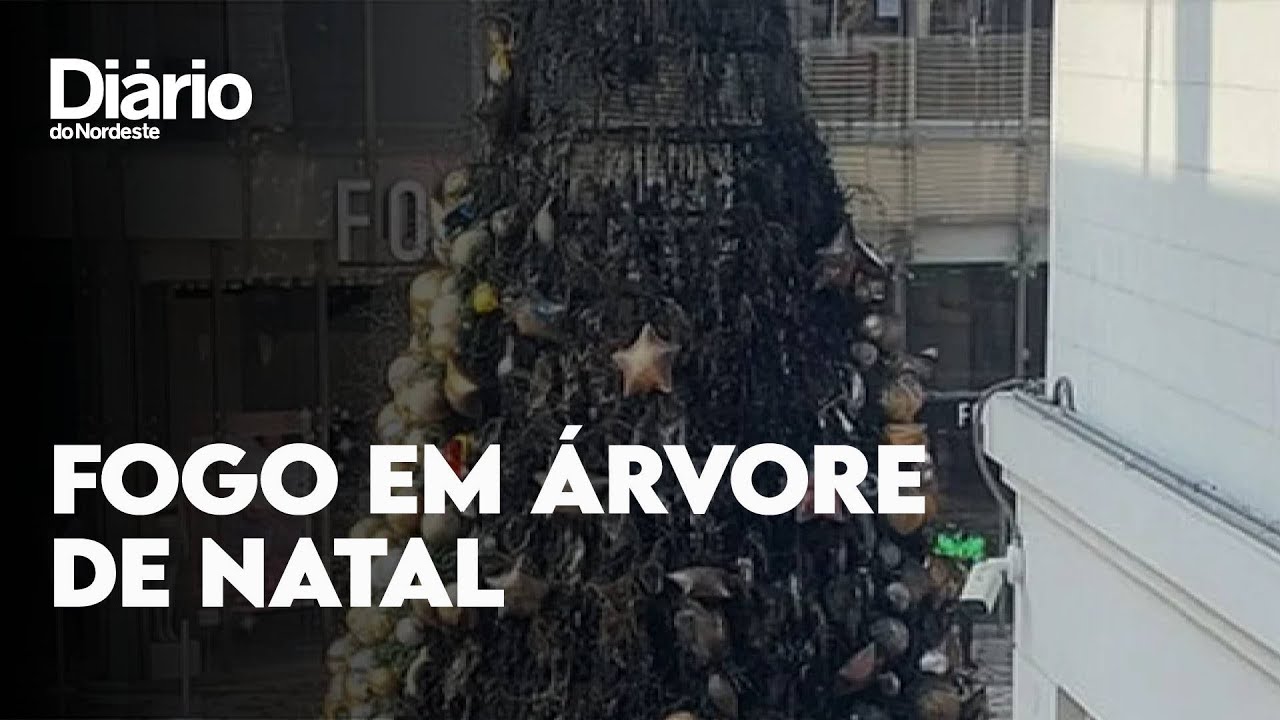 Imagem da notícia: Árvore de Natal pega fogo e causa grande quantidade de fumaça em shopping; veja vídeo