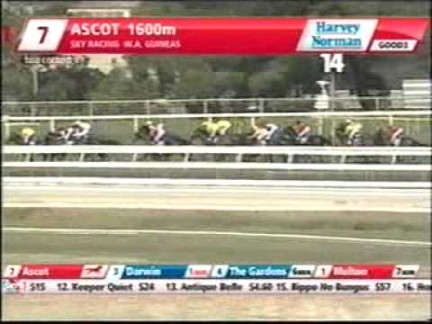 WA Guineas 2012 - Ascot