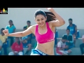 Winner Trailer Latest Telugu Trailers Sai Dharam Tej Rakul Preet Sri Balaji Video