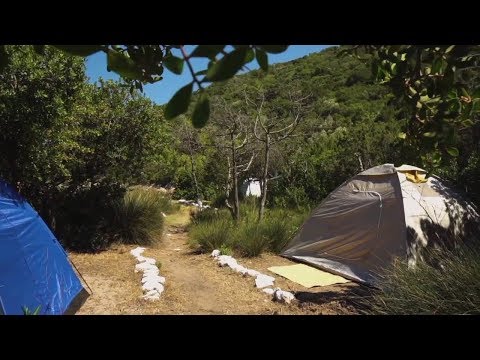 New York Summer Camp Measles Outbreak