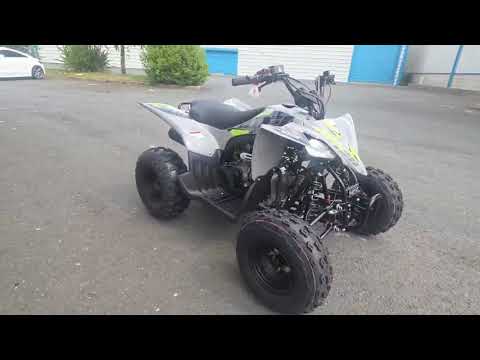 10TEN 120 ATV Family Size DELIVERY/WARRANTY - Image 2