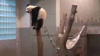 お部屋でのひととき