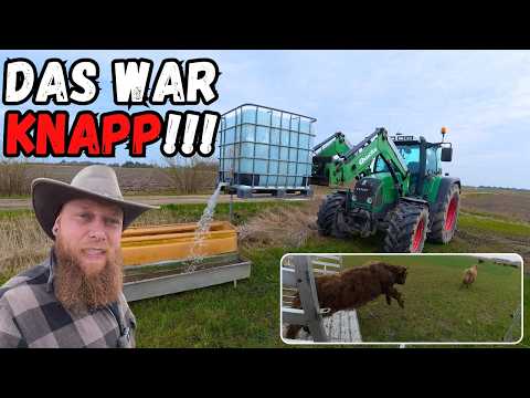 Erster Weidetag und dann passiert DAS 😱