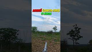 AMANHÃ, NÃO PERCA! #javalibrasil #caçadejavali #hunt #hunting #caca #wildlife #wildanimals #wildboar