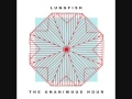 Lungfish - The Unanimous Hour (1999)[Full Album]