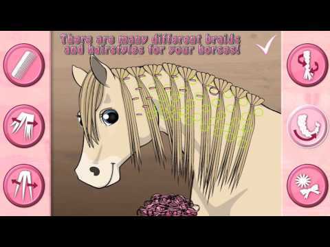 🐎 Horse Care - Mane Braiding  Video