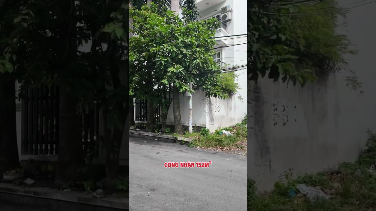 Ảnh đại diện Video