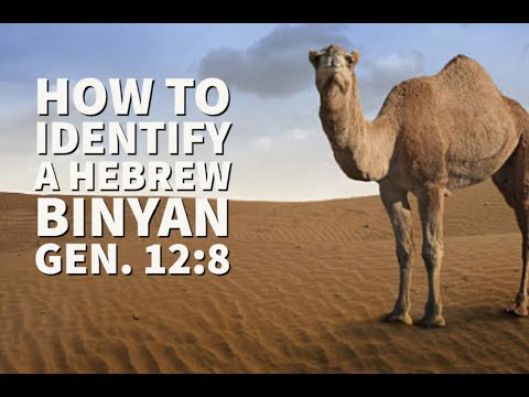 Learn Hebrew: From Roots to Fruits - Binyan Identifier Gen 12.8  - Biblical Hebrew with David