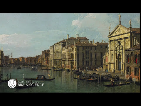 The Nature of Seeing | How the Brain Constructs the Visual World