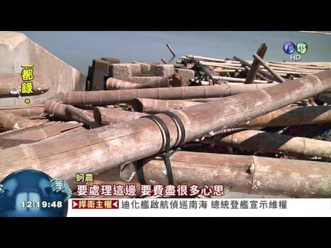 回收沒誘因! 千座廢蚵棚躺沿海