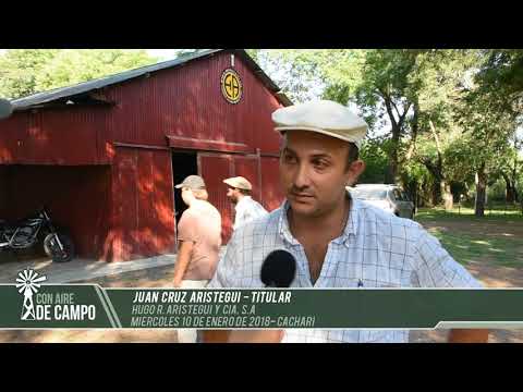 Nota a Juan Cruz Aristegui -  Hugo R. Aristegui - Miércoles 10 de enero de 2018 - Cacharí