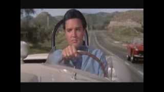 Funny Scene From Spinout-Elvis Presley &amp; Shelley Fabares