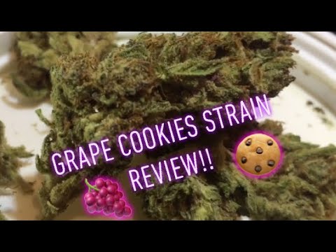 download lagu mp3 mp4 Grape Cookies, download lagu Grape Cookies gratis, unduh video klip Grape Cookies