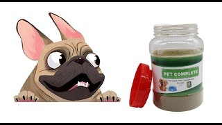 Best dog food for pitbulls and Tips to choose dog foods